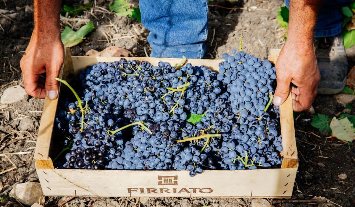 L'Ecrù Passito Naturale Firriato Terre Siciliane IGT